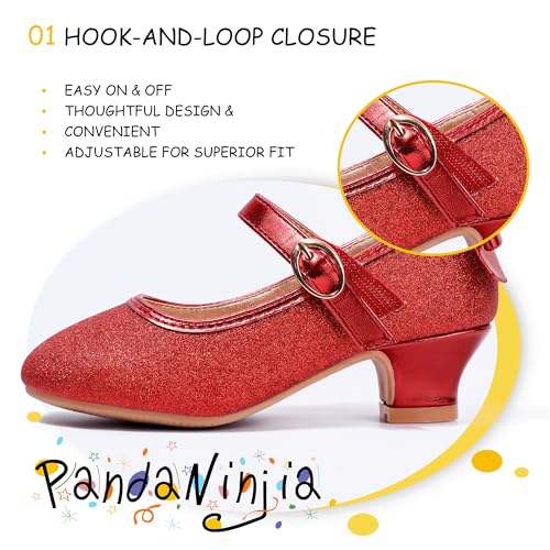 Image of PANDNAINJIA Girls Dress Shoes Toddler Heels Mary Jane Pumps | Little Big Kids Low Heel Flower Girl Bow Wedding Party Church Communion Princess Shoes
