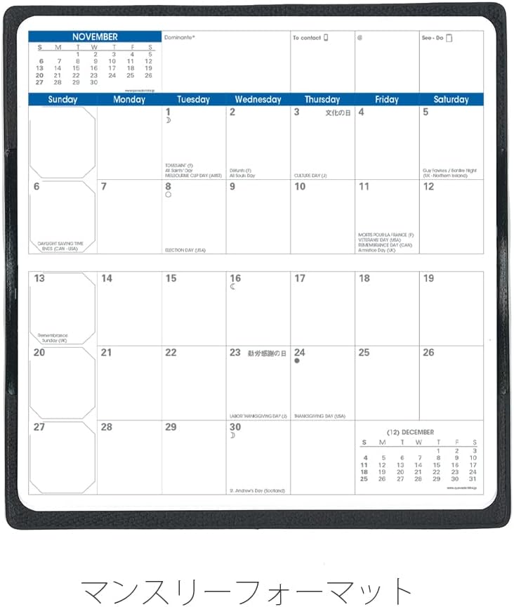 Quobadis [2025 Edition] Notebook Diary "VisoPlan/Ampara" (Monthly Block, January Starts, Slim Size, 6.7 x 3.5 inches (17 x 8.8 cm), Black QUOVADIS qv36701bk