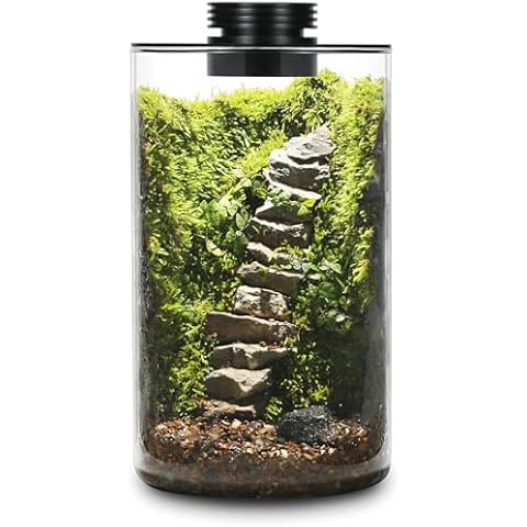 AREPK Desktop Glass Plant Terrarium with Grow Light Cover