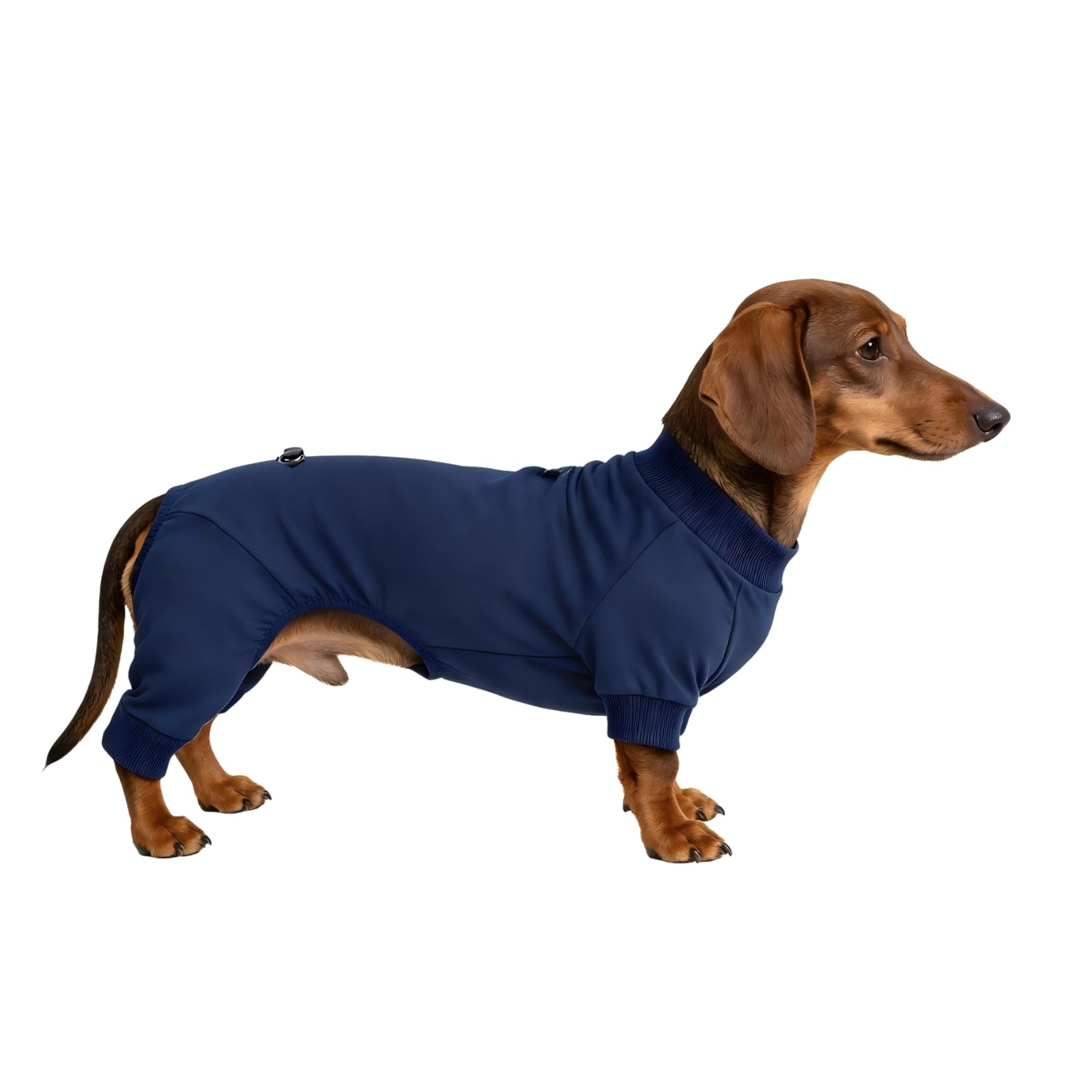 BT Bear Dachshund Jumpsuit,Dog Pyjamas,Short-Leg Dogs Onesie,Dark Blue L