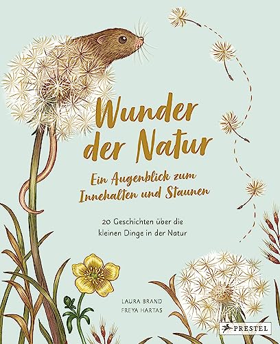 Wunder der Natur. Ein Augenblick zum Innehalten und Staunen: 20 Geschichten über die kleinen Dinge in der Natur (Wunder der Natur-Reihe, Band 6)
