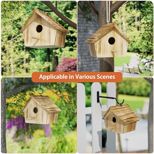 Auslar 101210100-EUP-US-F1 Bird House, Bird Houses For Outside, Wooden Birdhouse thumb #5