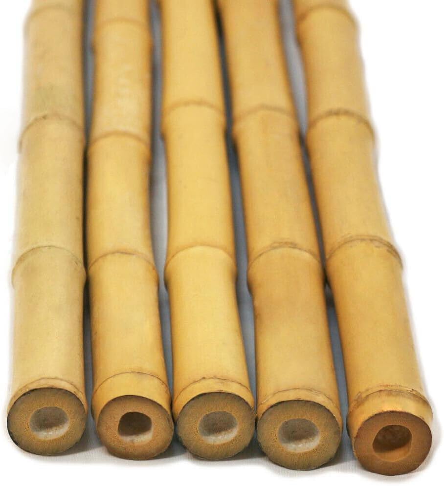 FlickBuyz Bamboo Canes - Plant Supports for Outdoor Plants – All Lengths 2,3,4,5,6,7 & 8ft Garden Canes, Heavy Duty Professional Bamboo Sticks for Plants, Garden Plant Supports (5, 6ft, 14-16mm)