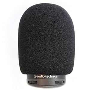 AT2020 Pop-Filter von Vocalbeat – Audio-Technica AT2035 Kondensator-Mikrofon-Schaum... aus hochwertigem Schwammmaterial – Mikrofon AT2020 USB-Pop-Windschutzscheibe, filtert