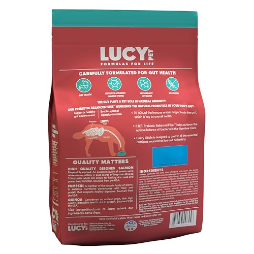 Lucy Pet Formulation for Life Salmon, Pumpkin, & Quinoa Dry Canine Meals, All Life Levels, Digestive Well being, Delicate Abdomen & Pores and skin, 4.5lb bag Lucy Pet Formulation for Life Salmon, Pumpkin, & Quinoa Dry Canine Meals, All Life Levels, Digestive Well being, Delicate Abdomen & Pores and skin, 4.5lb bag