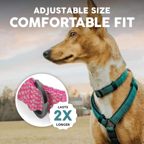 Embark Illuminate Reflective Dog Collar For Medium Dogs–Adjustable Padded Dog Collars With Buckle Made With Nylon Reflective Material To Make Your Dog Collar Visible At Night –Medium Dog Collar (Pink) #TOP4