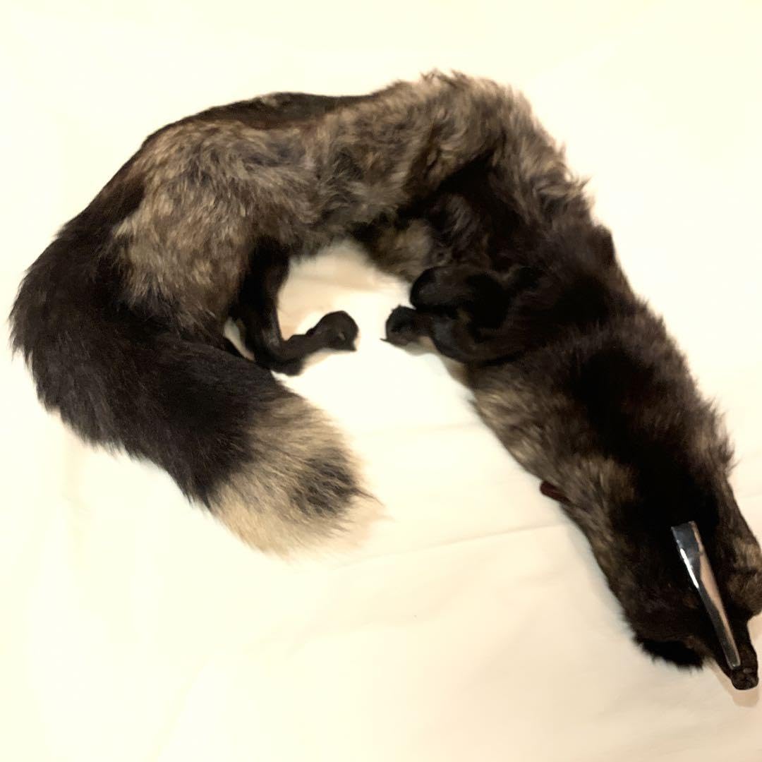 Amazon.co.jp: 高級 キツネ キツネの襟巻き 男女兼用 リアルフォックス