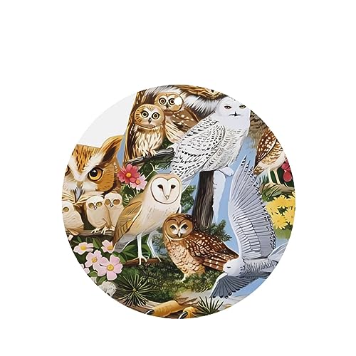 tNE ԗpF p[\iCYꂽXCX J[A}Zs[^ubg ݂艺F܃J[h [vt 4 ԂƂ̑p