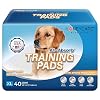 HONEY CARE All Absorb X Large 28 x 34 40 Count Dog and Puppy Training Pads Ultra Absorbent and Odor Eliminating Leak Proof 5 Layer Potty Training Pads with Quick Dry Surface Blue