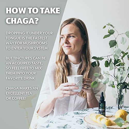 Loov Bundle – 2 Items Organic Wild Blueberry Powder And Organic Chaga Mushroom Extract Tincture #TOP6