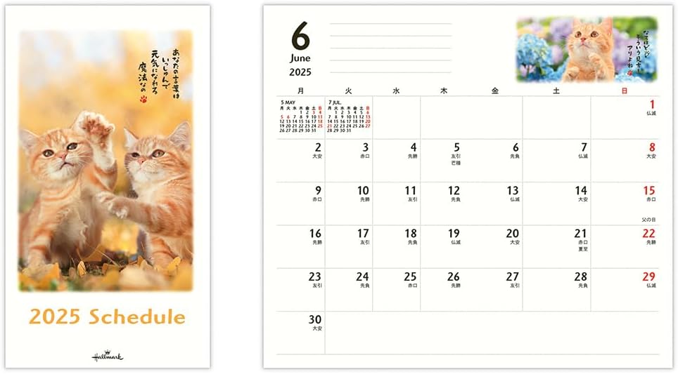 Nippon Hallmark 835-040 2025 Slim, Monthly Notebook, 835-040 (Begins October 2024)