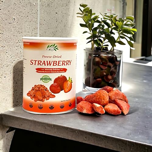 Image of CHAVI Freeze-Dried Strawberry - Pack of 2 x 2 oz - Healthy 1 Ingredient Superfood - No Added Sugars or Preservatives - Non-GMO, Vegan, Gluten-Free | Long Shelf Life | 2 Cans