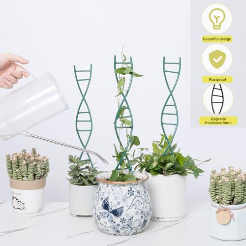 GOOOXIM Indoor Plant Trellis - DNA Spiral Design Metal Trellis for Potted by Goooxim - Used condition - Image 6