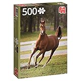 Enfant JUMBO - 618538 - Puzzle - Poulain Jouant - 500 Pièces