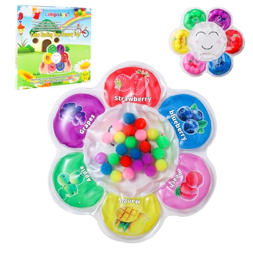Limpskys Sorting Toys Color Sorting Sensory Toys Sensory Toys for Toddlers Autism Toys for Toddlers 3-4 Quiet Fidget Toys Color Matching Game (Multicolor-Fruit)