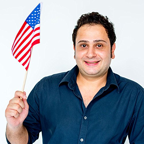 Pack Of 100, Small Us American Handheld Flags, 4X6 Inch Golden Spear Tip, Stick Flags By Crystal Lemon #TOP3