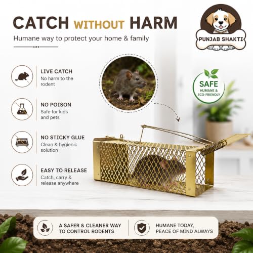 Image of Heavy Duty Rat Catcher Trap - Humane & Reusable Mouse Trap for Home, Office & Warehouse - Easy to Set, Strong & Reliable Rodent Control (Small)