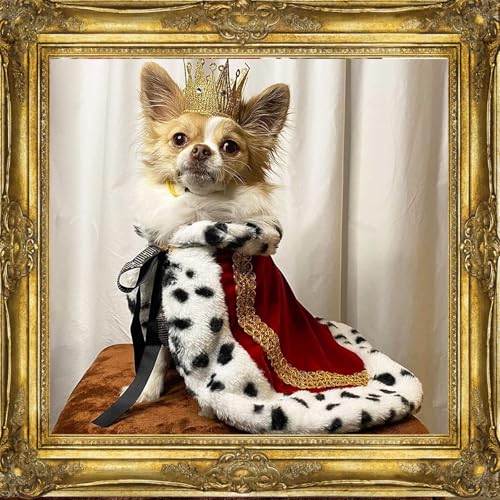 Capa para perro King Halloween y Navidad tamaño Small miniatura 2