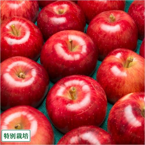 Amazon 訳あり つがる 10kg箱 特別栽培 青森県 さいとうりんご園 産地直送 ふるさと21 自然食ねっと 食品 飲料 お酒 通販