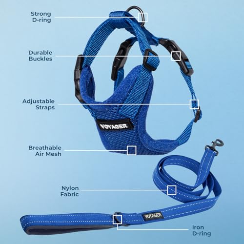 Image of Best Pet Supplies Voyager Step-in Lock Pet Harness w Reflective Pet Leash Combo Set with Neoprene Handle 5ft - Supports Small, Medium and Large Breed Puppies /Cats - Royal Blue Set, M