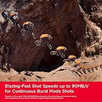 SanDisk Extreme SDXC UHS-I Speicherkarte 128 GB (V30, 180 MB/s Übertragung, U3, 4K UHD Videos, SanDisk QuickFlow-Technologie, wasserdicht, stoßfest, temperaturbeständig) (Packung mit 2) – Ansicht 2