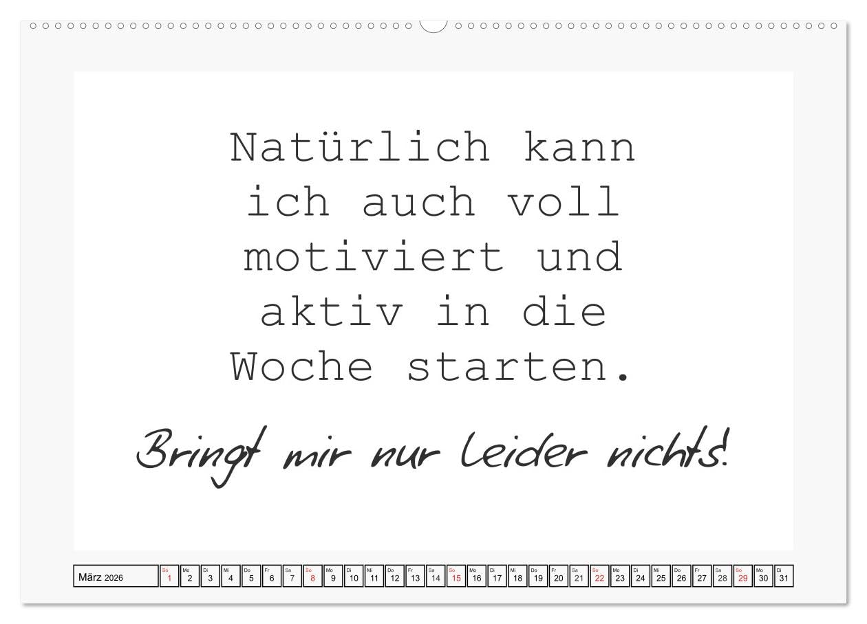 Typo-Kalender für das Büro. Sarkasmus und fiese Sprüche (Wandkalender 2026 DIN A2 quer), CALVENDO Monatskalender: Trendiger Sprüchekalender für den Arbeitsplatz (CALVENDO Spass)