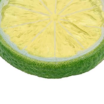 Amazon.co.jp: 30枚 食品 サンプル レモン スライス 輪切り