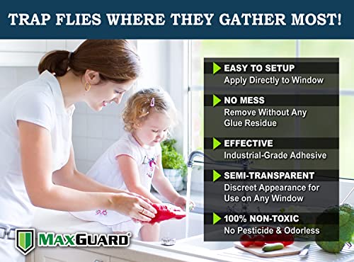 Maxguard Window Fly Traps (24 Xl Traps) Catch & Kill Houseflies, Flying Insects & Bugs. Non-Toxic Sticky Glue Traps Fly Killer Clear Strip Insect Catcher Safe No Zapping With Zapper | #TOP1