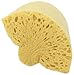 Casabella Refill Sponge Head for Extra-Wide Roller Mop