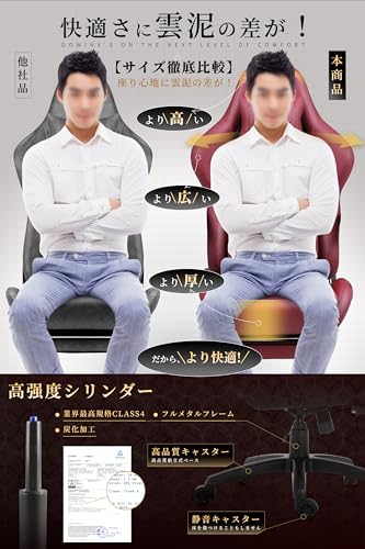 Dowinx Dowinx LS 6689 オフィスチェア/ゲーミングチェア/パソコンチェア/デスクチェア/リクライニングチェア の商品画像 7