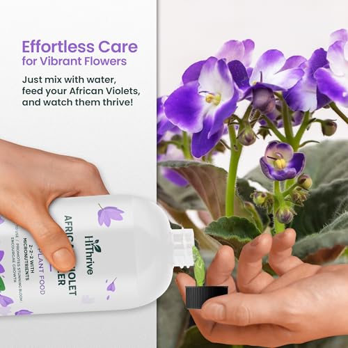 Fertilizante líquido 16oz para Violetas Africanas miniatura 5
