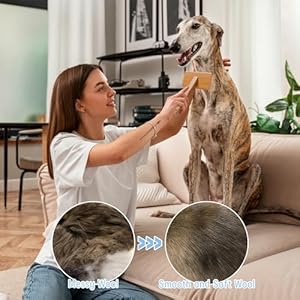 Dog-Brush-Pin-Brush-for-Dogs-Pet-Slicker-Brush-with-Bamboo-Handle-for-Dogs-and-Cats-Pin-Brush-for-Removing-Shedding-Tangles-and-Fluff - Cucciolini Doodles   Dog-Brush-Pin-Brush-for-Dogs-Pet-Slicker-Brush-with-Bamboo-Handle-for-Dogs-and-Cats-Pin-Brush-for-Removing-Shedding-Tangles-and-Fluff