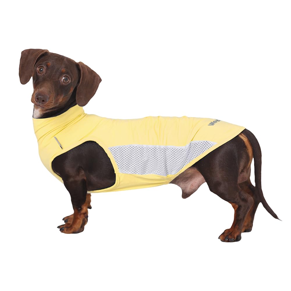 WienieDay Dachshund Dog Cooling Vest, Breathable Summer Dog Cooling & Quick-Dry Shirt for Outdoor Activities,Mini Dachshund Lightweight Clothes, Vest