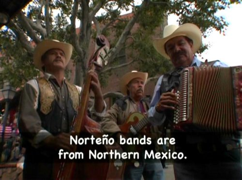Cinco de Mayo Moo