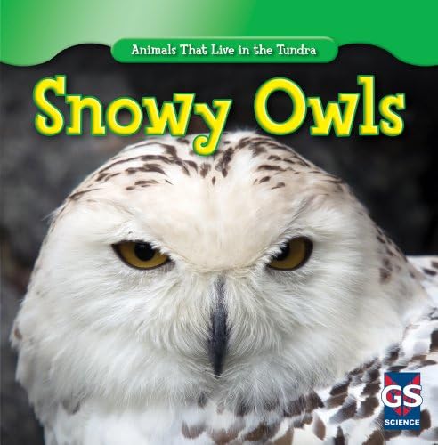 Snowy Owls (Animals That Live in the Tundra)