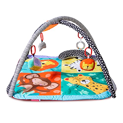 Red Kite Safari Play Gym