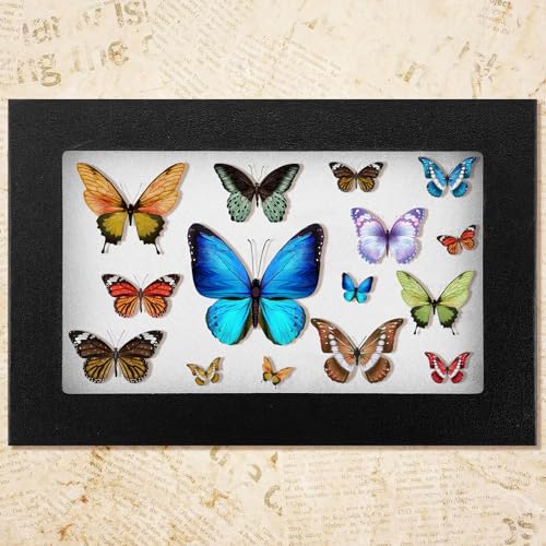 Landical 3 Pcs Jewelry Display Case Bulk 12 x 8 x 0.98 Inch by Landical - Used condition - Image 4