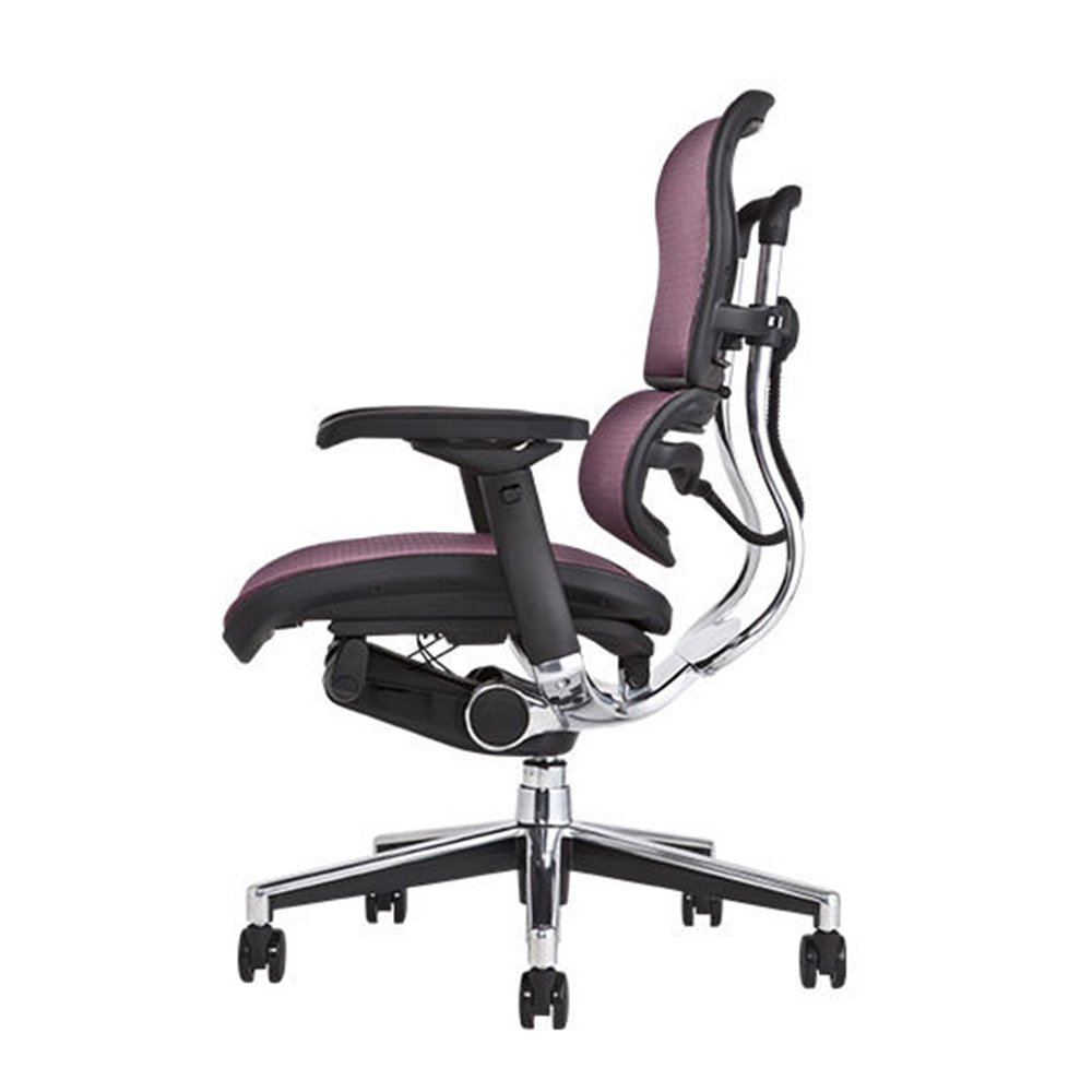 美品　Ergohuman/エルゴヒューマン/ベーシック/ヘッドレスト付き Amazon.co.jp: 【旧型】 エルゴヒューマン ベーシック オフィス