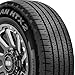 Nexen Roadian HTX2 235/80R17 120/117S E