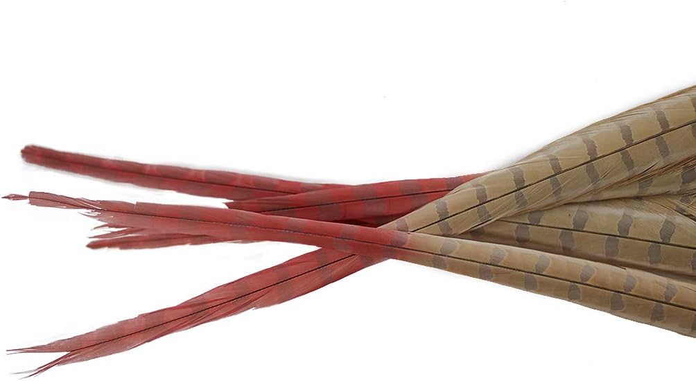 ZUCKER Multicolored Ringneck Pheasant Tail Feathers - 5pc Dyed 20-24" Long Pink Decor