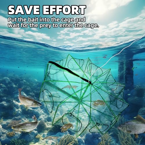 2 Pcs 32 x 10 Inch Collapsible Crab Trap 10 Holes 10 Sides Foldable Fishing Nets with 2 Rope for Minnows Fishing Crawfish Crab Lobster Shrimp - Thumbnail 5