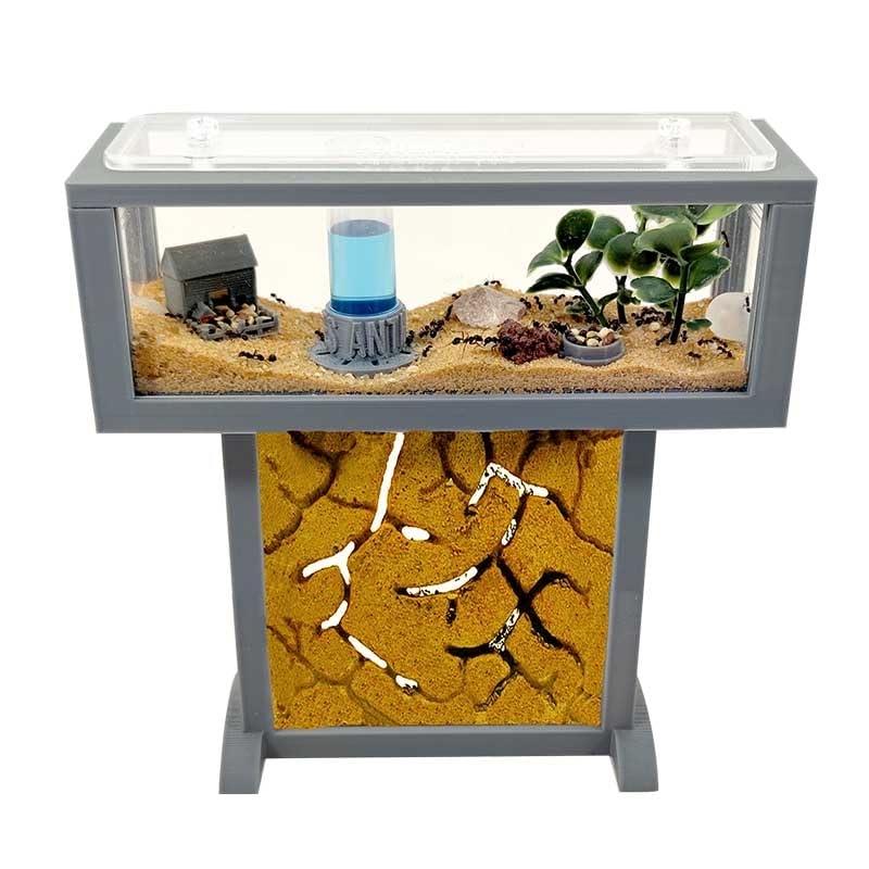 Kit de hormiguero T-Mini, Hábitat para hormigas de arena natural, 15x5x16 cm, con 20-30 hormigas incluidas