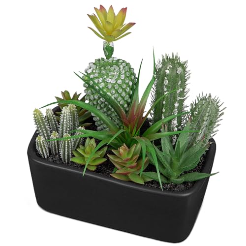 Oairse Kunstpflanze Kaktus Kunstpflanze Sukkulenten im Keramiktopf Zimmerpflanze Decorative Wohnzimmer, Fensterbank, Tischdeko Deko für Wohnzimmer Mutter Tochter Geschenk, Schwarz Topf Oairse Kunstpflanze Kaktus Kunstpflanze Sukkulenten im Keramiktopf Zimmerpflanze Decorative Wohnzimmer, Fensterbank, Tischdeko Deko für Wohnzimmer Mutter Tochter Geschenk, Schwarz Topf