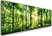 Produktbild Feeby Frames, Leinwandbild, Bilder, Wand Bild, Wandbilder, Kunstdruck, 40x120cm, Wald, BÄUME, Sonne, Natur, GRÜN