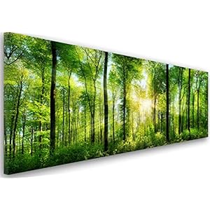 Feeby Panorama foto op Canvas 1-delig 25×70 Schilderij op Canvas Langwerpig Canvasdoek Wanddecoratie Moderne Foto op Linnen Bos Bomen Natuur Zon Groen