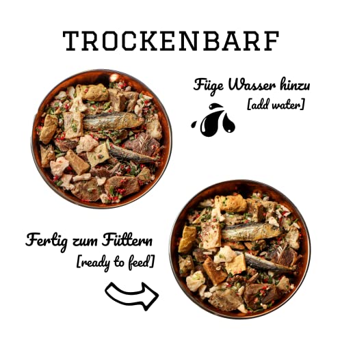 PAMICO Trockenbarf All in One Active mit Rind, Fisch, Spinat, Blumenkohl und Erdbeere 500g - 100% gefriergetrocknet, Barf Hundefutter ohne Zusätze getreidefrei