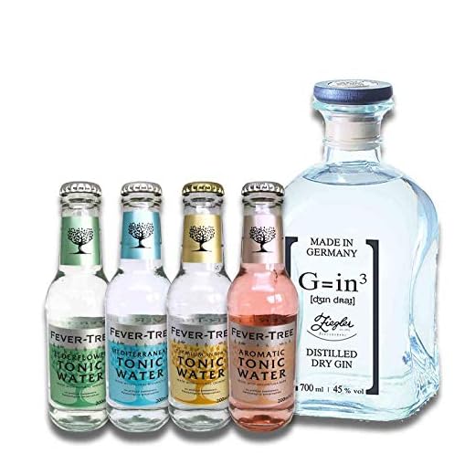 Gin Tonic presentset | Provset med gin och olika tonic vatten i presentförpackning (tegel G=in3 + 4 fever-Tree Tonic Water)