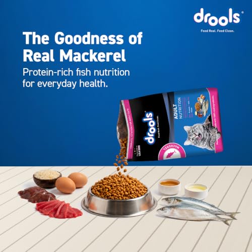 Image of Drools Adult Dry Cat Food 1.2kg Pack | Mackerel Flavour | Enriched with Essential Nutrients | Supports Skin & Coat | Complete Nutrition | Aids Digestion | Promotes Growth