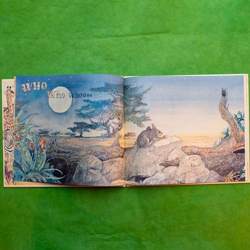 Image of The Lion & the Mouse (Caldecott Medal Winner)