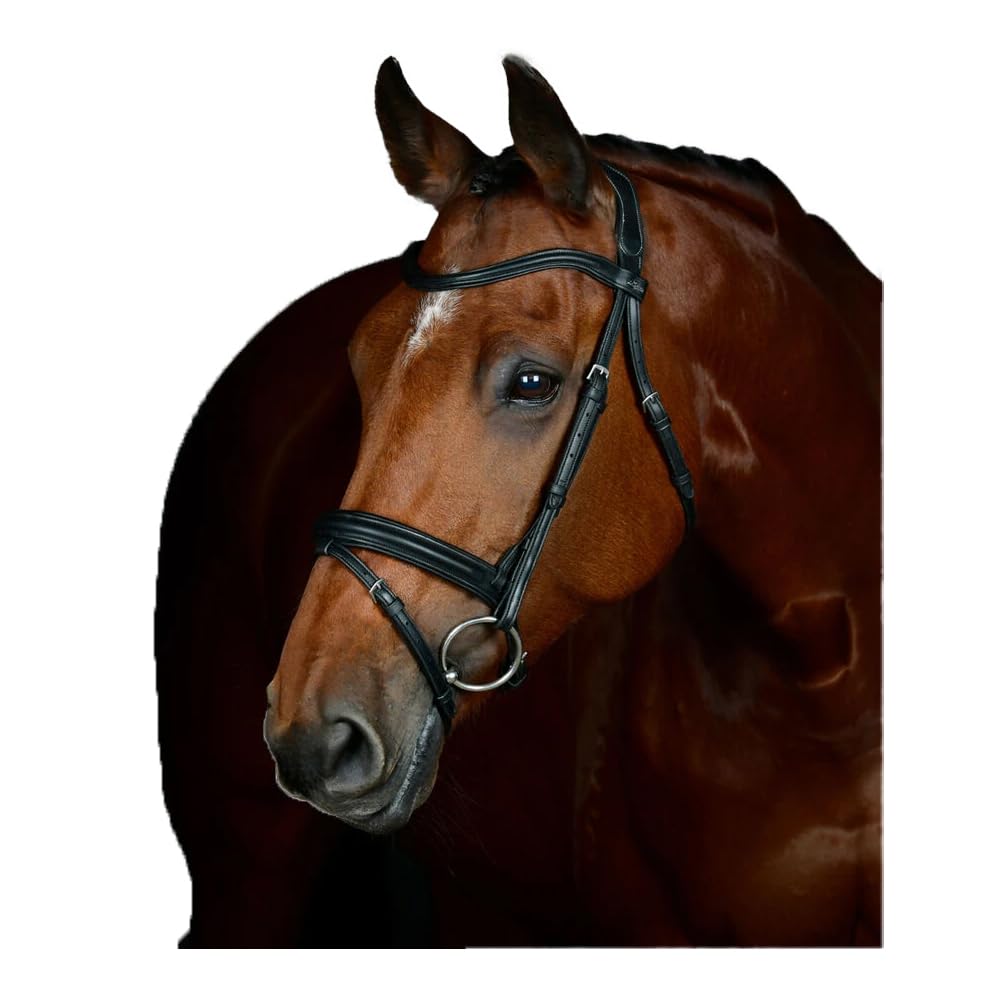Collegiate ComFiTec Opulux Plain Padded Hanoverian Flash Bridle, Black, Warmblood